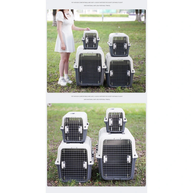 portable pet carrier with wheel