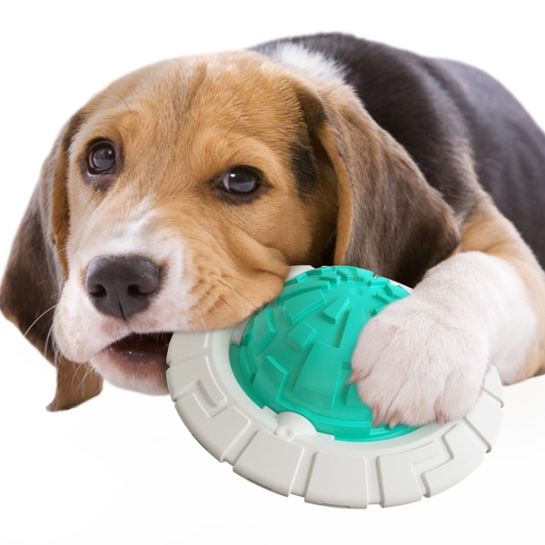 pet frisbeed toys for dog