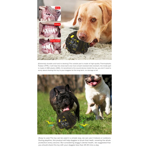 rubber dog playing ball