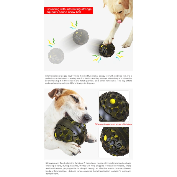 rubber dog playing ball