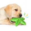 Eco-friendly sea star dog chewing toy