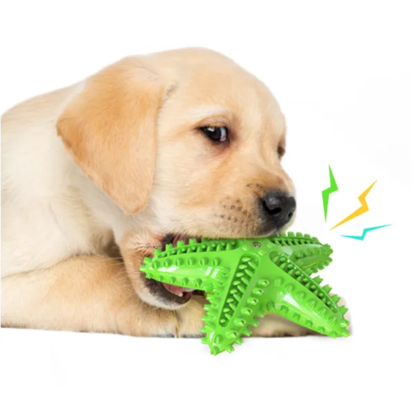 Eco-friendly sea star dog chewing toy