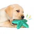 Eco-friendly sea star dog chewing toy