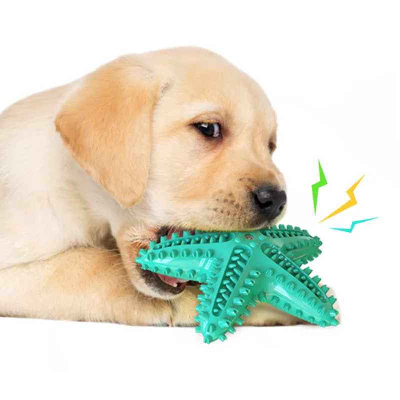 Eco-friendly sea star dog chewing toy