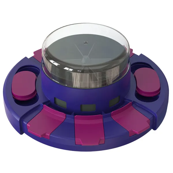 Pet puzzle toy for dog