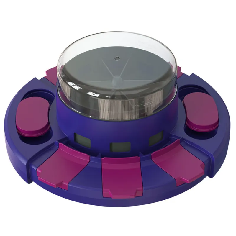 Pet puzzle toy for dog