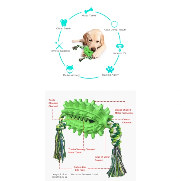 Teeth cleaning dog toy