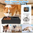 Pet dog adjustable bowl
