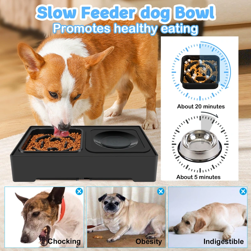 Pet dog adjustable bowl