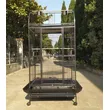  Spacious Large Bird Cage | Ideal Parrot Enclosure with Easy Access