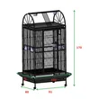  Spacious Large Bird Cage | Ideal Parrot Enclosure with Easy Access