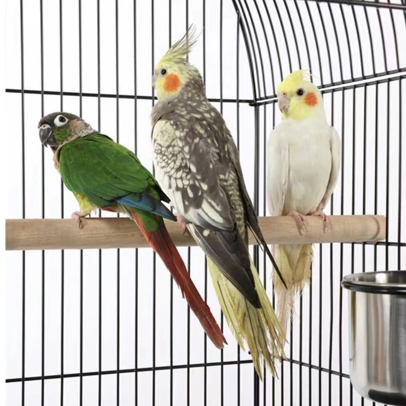 cage wire mesh bird cage