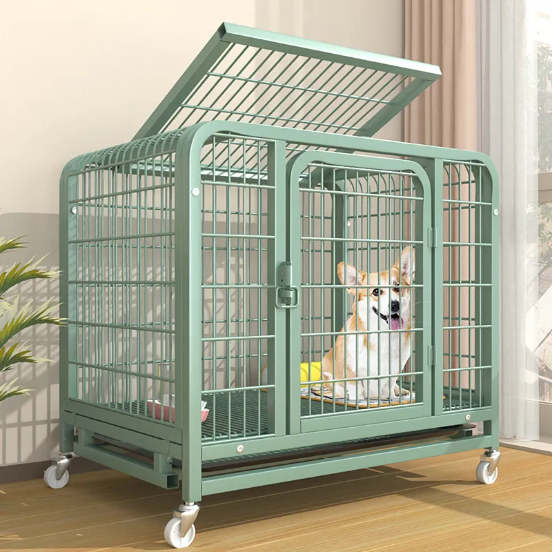 Sturdy Green Iron Dog Cage for Pets