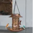Squirrel-Proof Hanging Bird Feeder