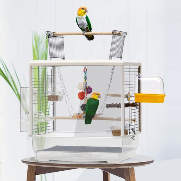 Small Transparent Bird Viewing Cage