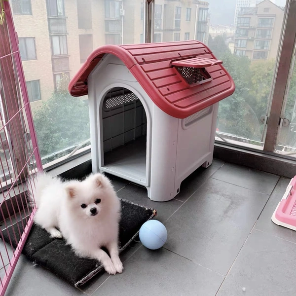 Insulated Plastic Cat House for Outdoor Use