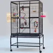 Large Bird Cage with Play Top and Ladder – Spacious and Fun