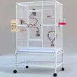 Large Bird Cage with Play Top and Ladder – Spacious and Fun