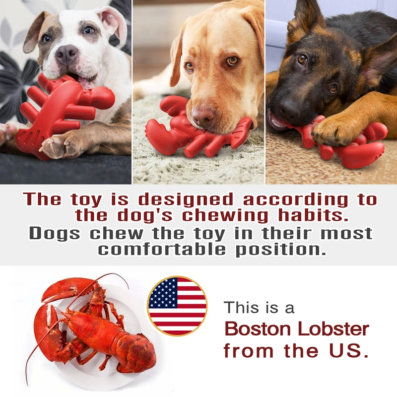Durable Lobster-Shaped Dog Chew Toy - Boost Dental Health
