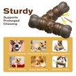 Interactive Squeaky Bone Dog Chew Toy - Keep Your Dog Entertained