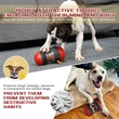 Interactive Rolling Pet Treat Dispenser - Keep Your Pet Entertained