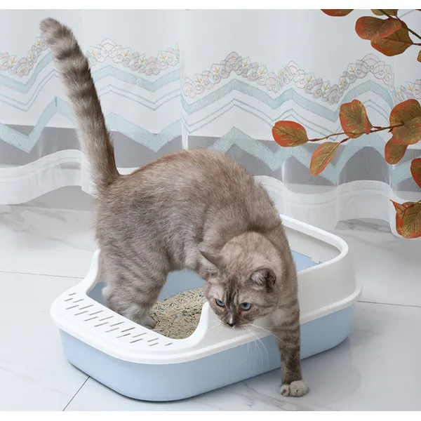 Plastic Cat Litter Box - Choose Sustainability for Your Pet
