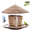 Squirrel-Proof Hanging Bird Feeder | Outdoor Feeder with Guard