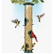 Squirrel-Proof Hanging Bird Feeder | Outdoor Feeder with Guard