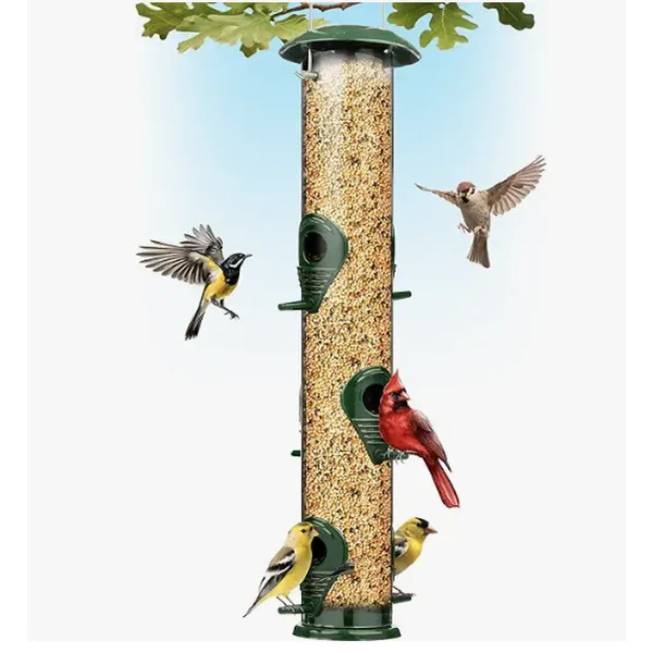 Squirrel-Proof Hanging Bird Feeder | Outdoor Feeder with Guard