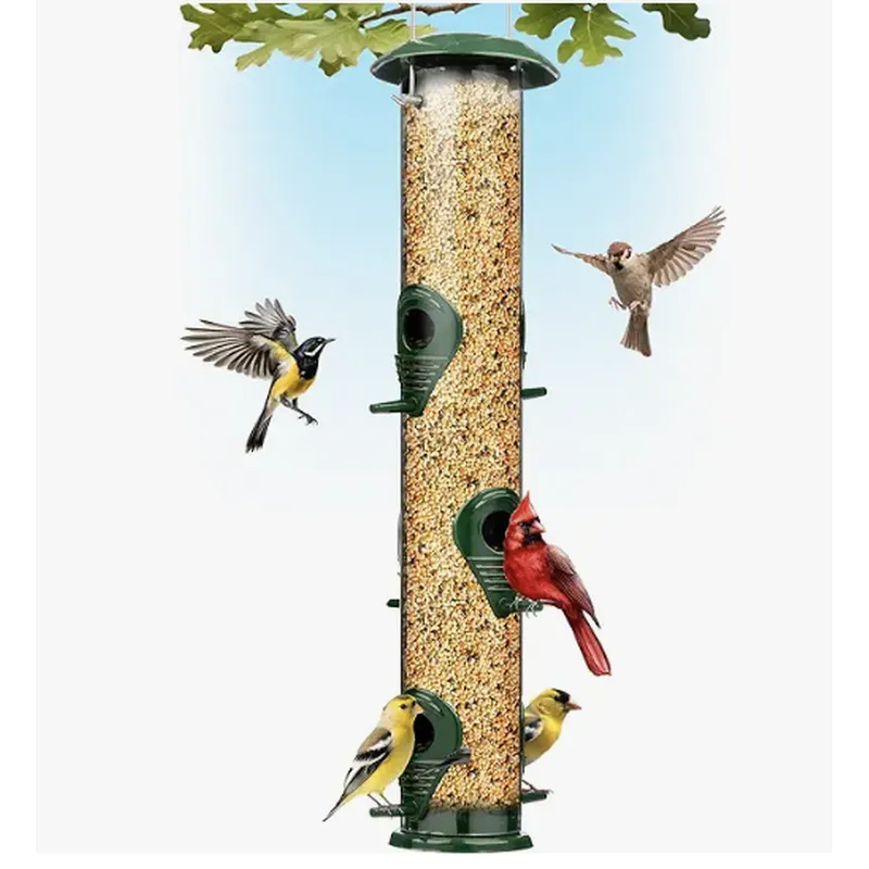 Squirrel-Proof Hanging Bird Feeder | Outdoor Feeder with Guard