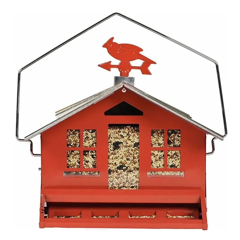 360-Degree Hanging Glass Bird Feeder | Full Access for Birds