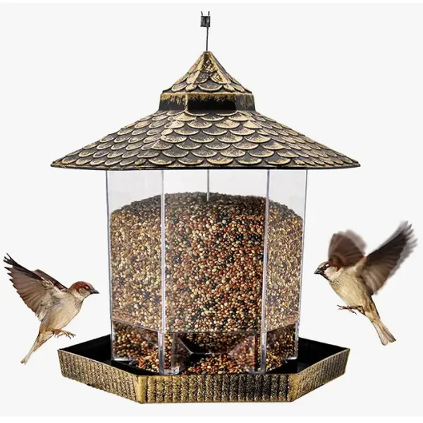 360-Degree Hanging Glass Bird Feeder | Full Access for Birds