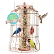 360-Degree Hanging Glass Bird Feeder | Full Access for Birds