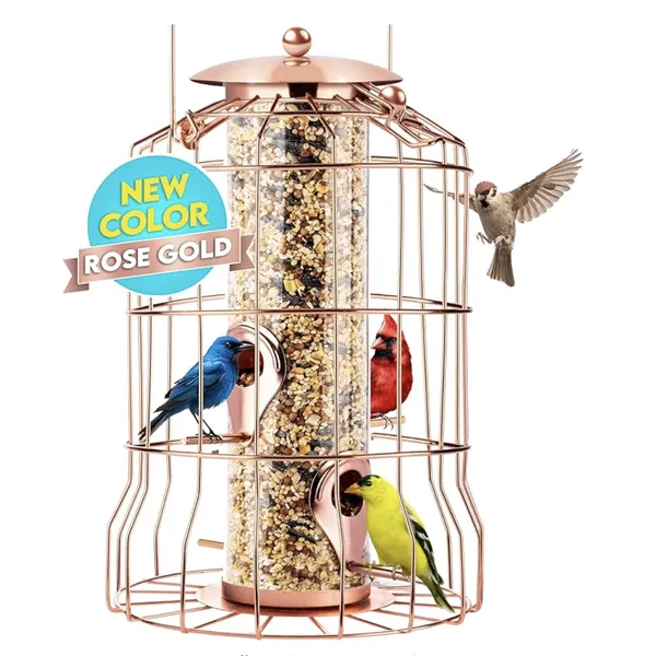 360-Degree Hanging Glass Bird Feeder | Full Access for Birds