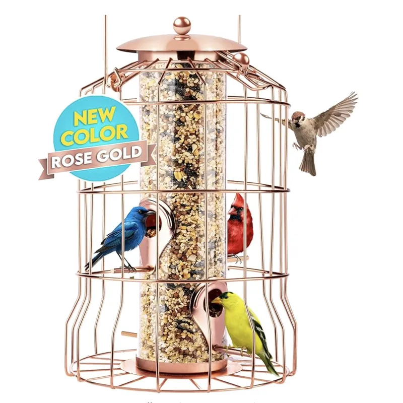 360-Degree Hanging Glass Bird Feeder | Full Access for Birds