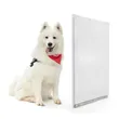 Transparent PVC Pet Door Cover – Weather-Resistant Flap for Pet Doors