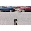 Handheld Ultrasonic Dog Training Device | No-Collar Bark Control with Beep & Flashlight
