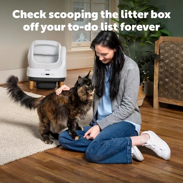 smart cat litter box