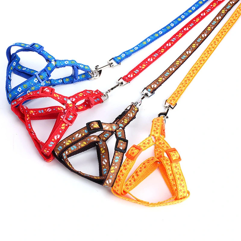 Nylon Dog Leash for Small Dog Medium Cat Rope Teddy Dog