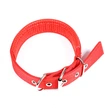 Nylon Dog Leash for Small Dog Medium Cat Rope Teddy Dog
