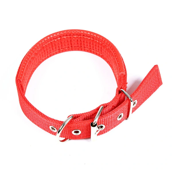 Nylon Dog Leash for Small Dog Medium Cat Rope Teddy Dog