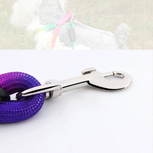 Nylon Dog Leash Rope Handle Round Rope Dog Harness Collar Pet Supply