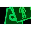 Glow in the dark  exit    signs 