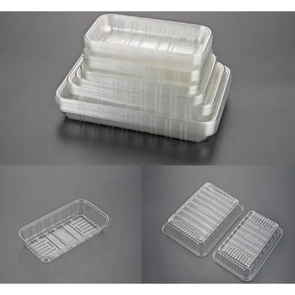 PLA 100% Biodegradable Tray, Environmental Tray, Disposable Tray