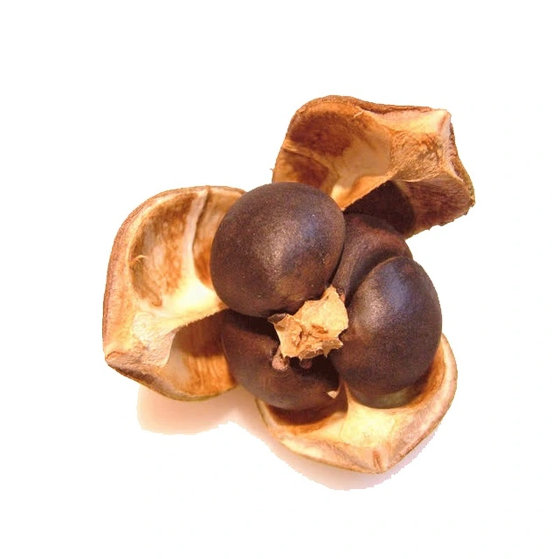 Tea seed pellet organic fertilizer for rice and vegetable fields