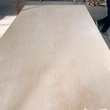 High-Quality Commercial Plywood | Durable & Affordable | [PUSEN WOOD]