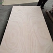 Okoume Plywood High-Quality Commercial Plywood | Durable & Affordable | [PUSEN WOOD]