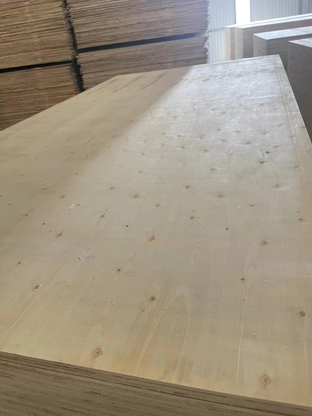 POPLAR  plywood  High-Quality Commercial Plywood | Durable & Affordable | [PUSEN WOOD]