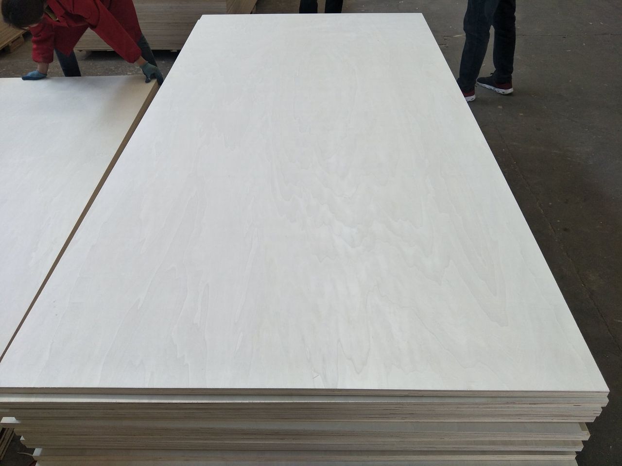 POPLAR  plywood  High-Quality Commercial Plywood | Durable & Affordable | [PUSEN WOOD]