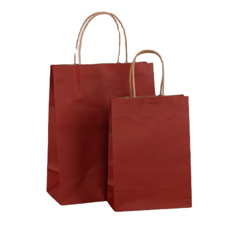 Custom Luxury Gift Paper Bag Twisted Handle Shopping Paper Bag